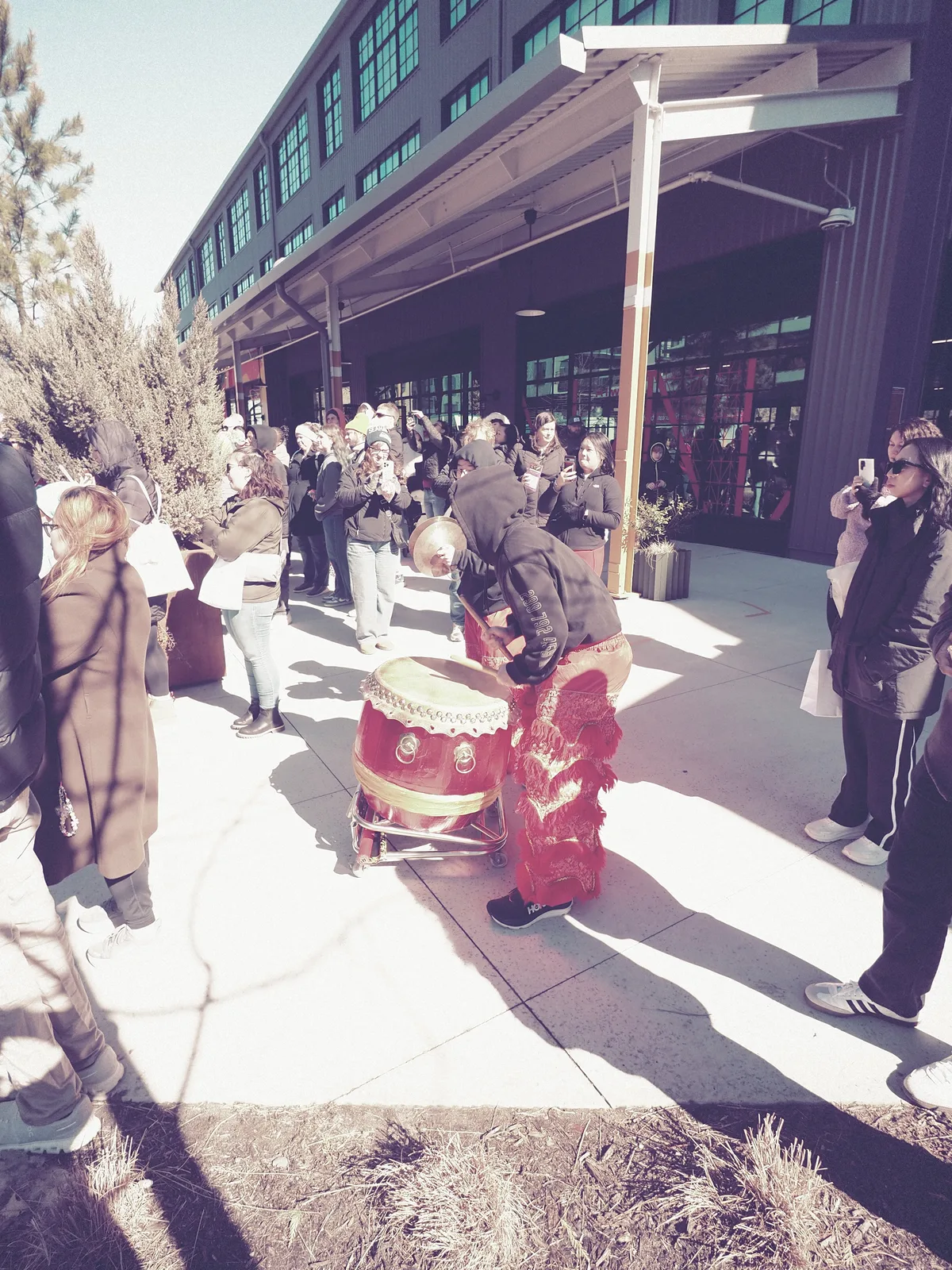 Lunar New Year photograph 3